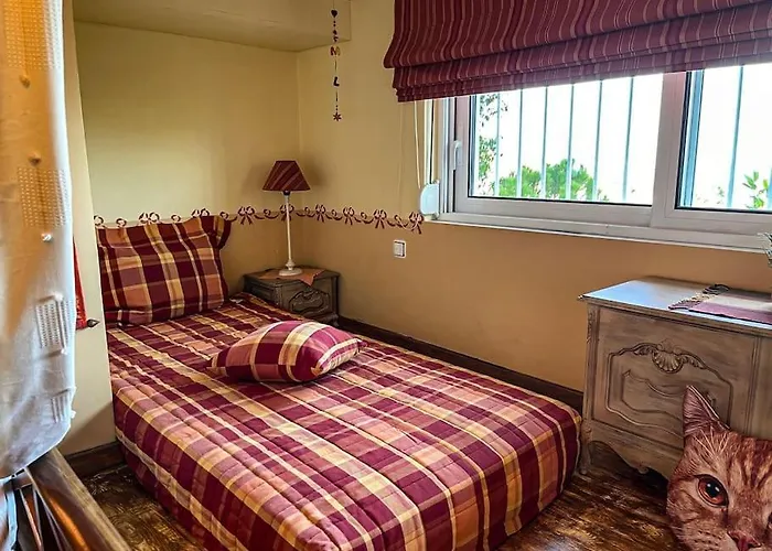 Maison De Poupee فيلة